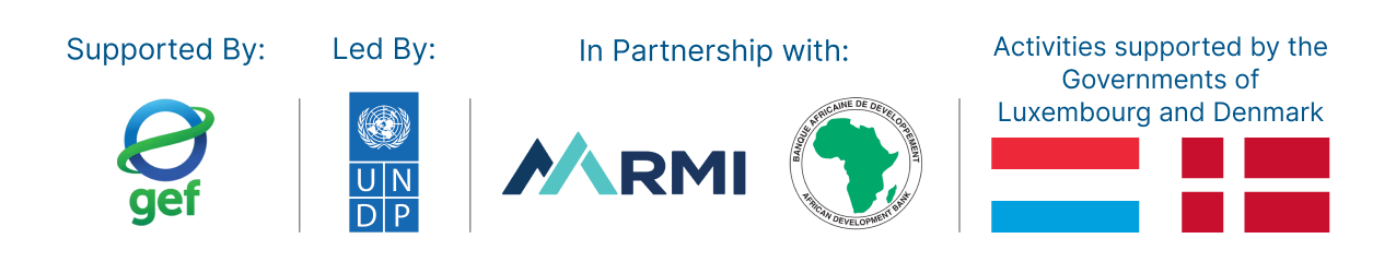 Implementing Partners